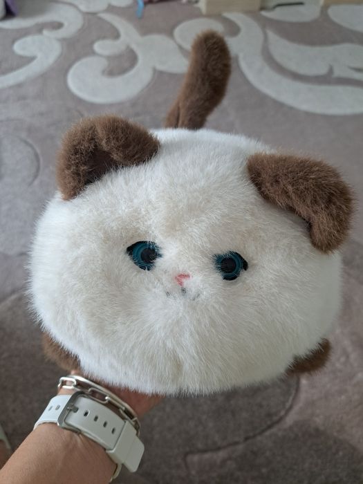 Інтерактивний котик