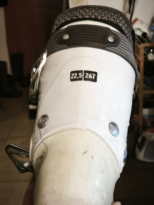 Salomon Buty narciarskie r.36