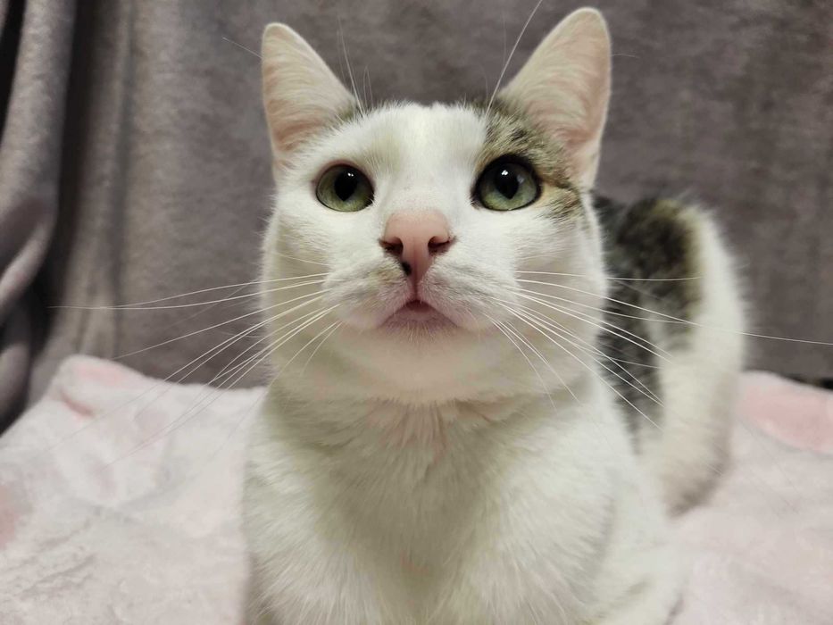 Lenka szuka swojego człowieka