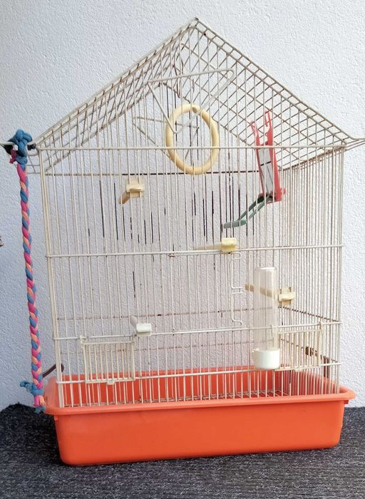 Gaiola com 55 cm altura para aves de porte médio