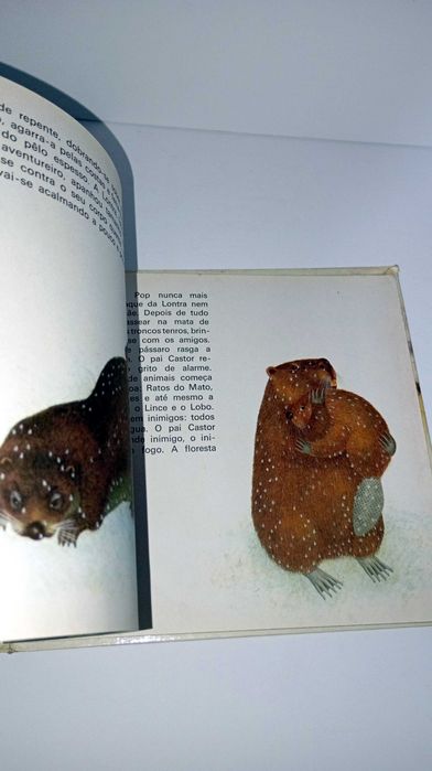 A Casa Dos Castores - ABC Verbo