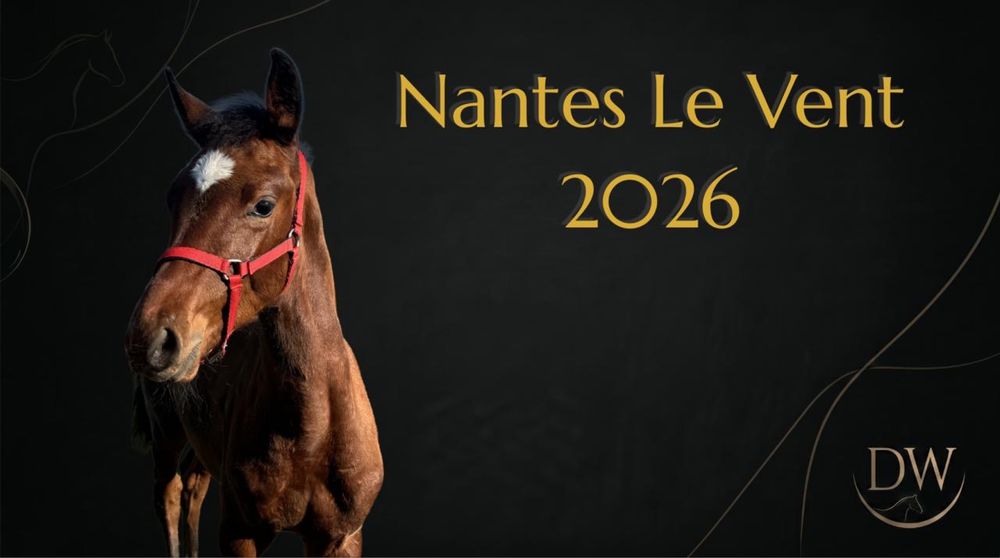Ogier SP Nantes Le Vent 2026