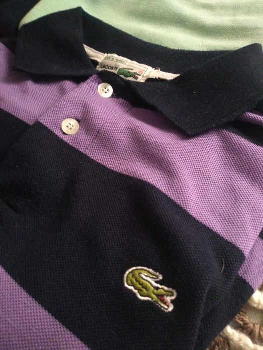 Polos Lacoste, Loding, Springfield e Fred Perry em muito bom estado