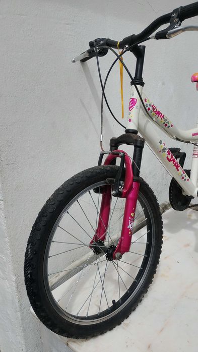 Bicicleta roda 20 polegadas