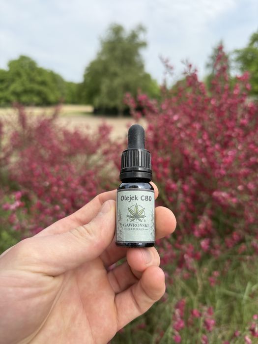Olejek CBD 20% 10 ml – Gawroński Naturals