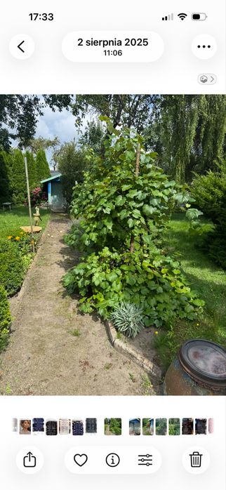 Działka rekreacyjna