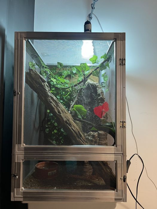 Terrarium dla gadów, kameleona