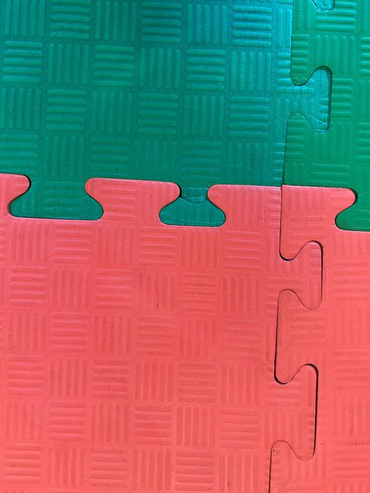 Tatamis em excelente estado/excelente densidade