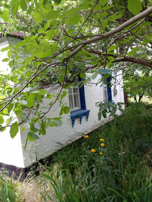 Хата Білоцерківський район