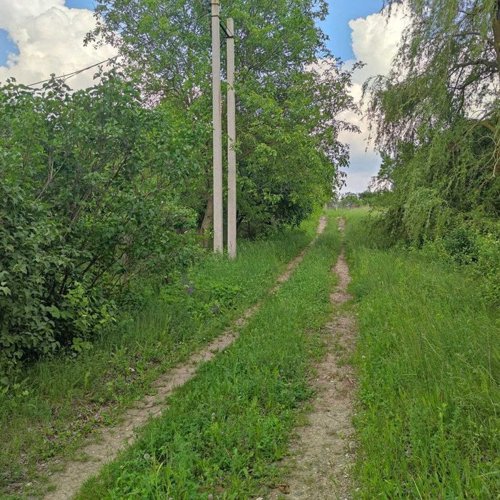 Дачний будинок із копанкою біля озера