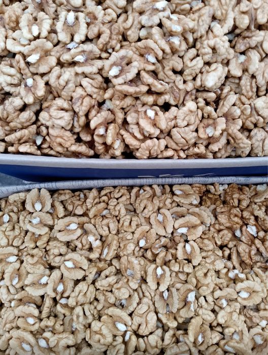 Грецький орех смачний