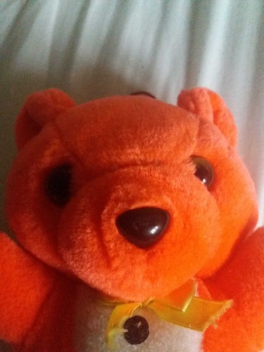 Urso  de Peluche