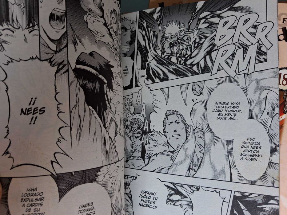 RECORD OF LODOSS WAR - Nº 1 a 19 [Completo] com caixa de arquivo. Mangá Norma Editorial