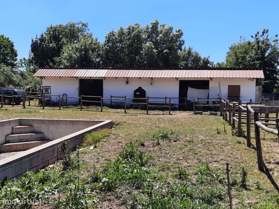 Rustic Land Plot – Bencanta – Coimbra/Sale