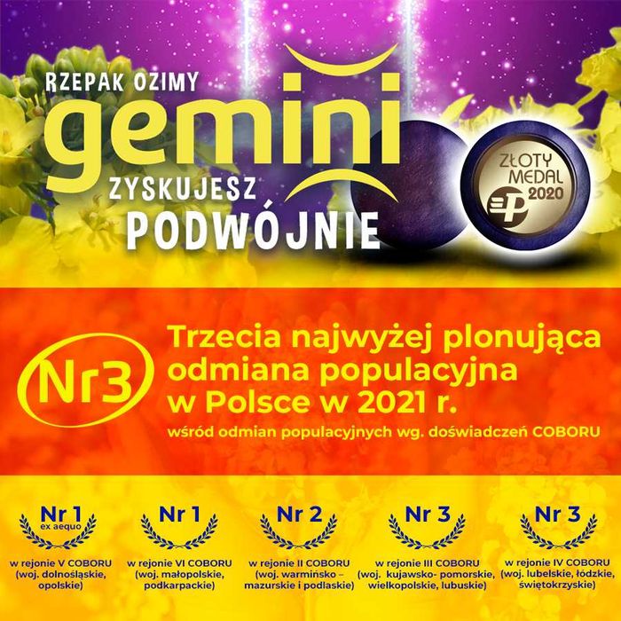 Rzepak Gemini z zaprawą insektycydową