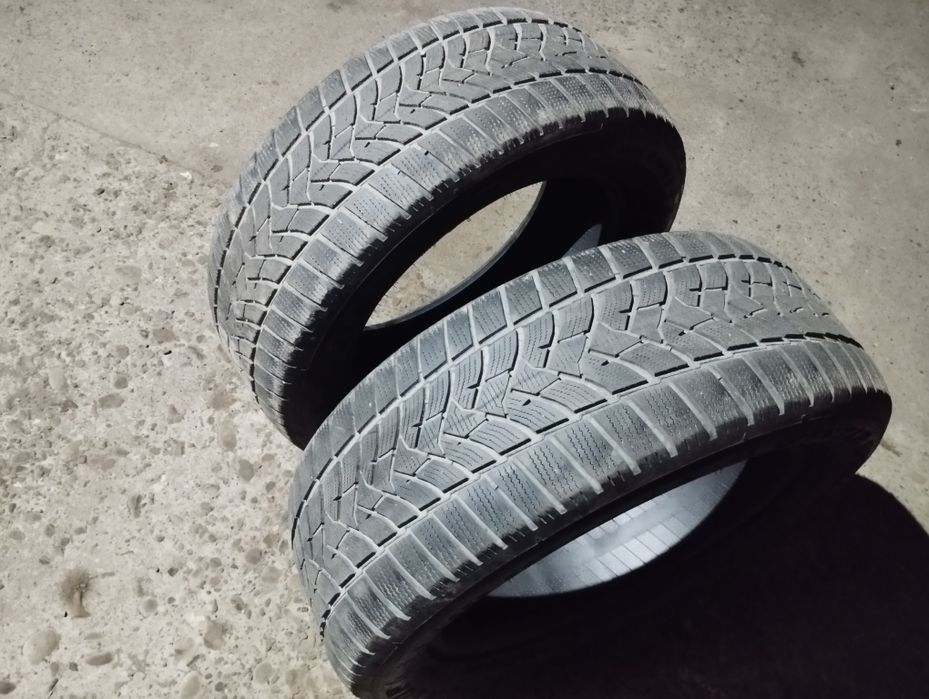 Шини зима 255 55 R19 Dunlop
