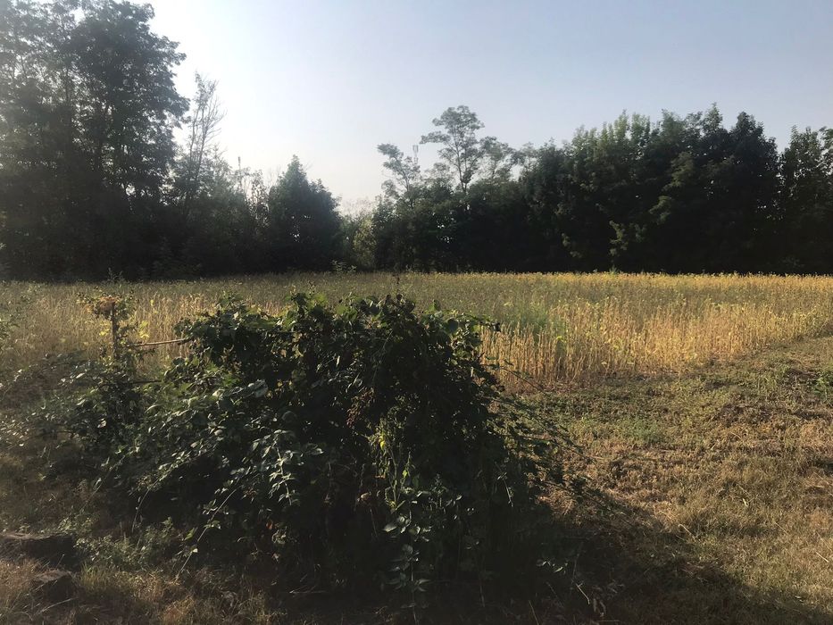 Продам приватизовану земельну ділянку