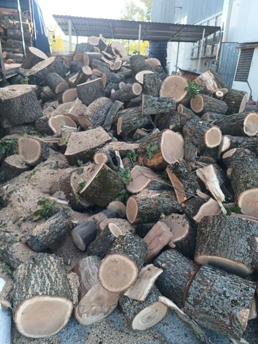 Дрова твердых пород