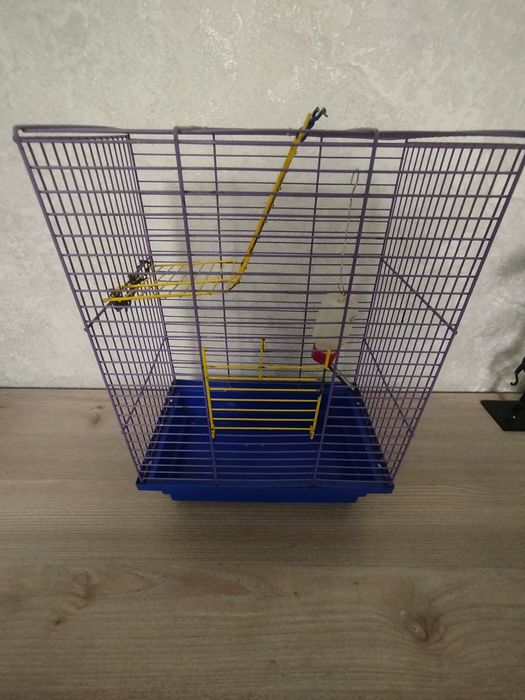 Клітка для гризунів