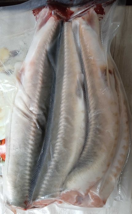 Акційна пропозиція осетр морожений / стерлядь /  кількість обмежена