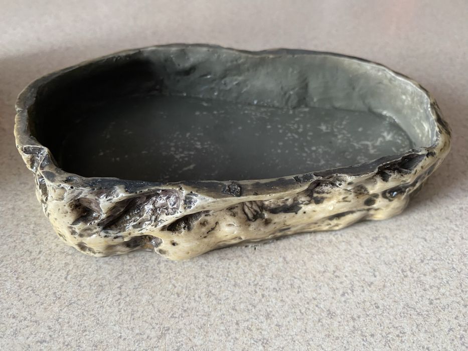 Miseczki - akcesoria do terrarium