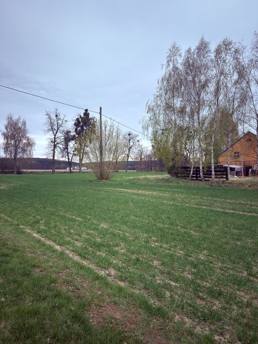Działki 1000, 1000 oraz 1500 m2