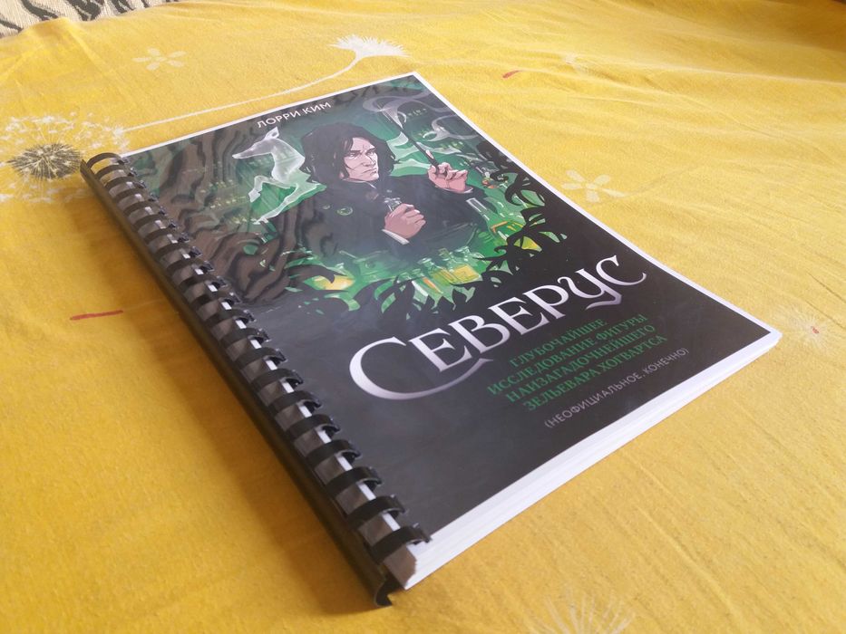 Лорри Ким СЕВЕРУС, Гарри Поттер