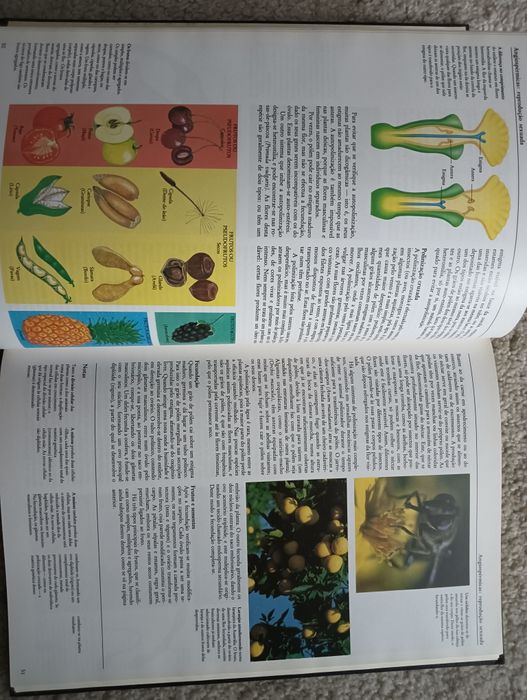 As Plantas - Ardley, Neil ; Matthews, Robert  como novo!