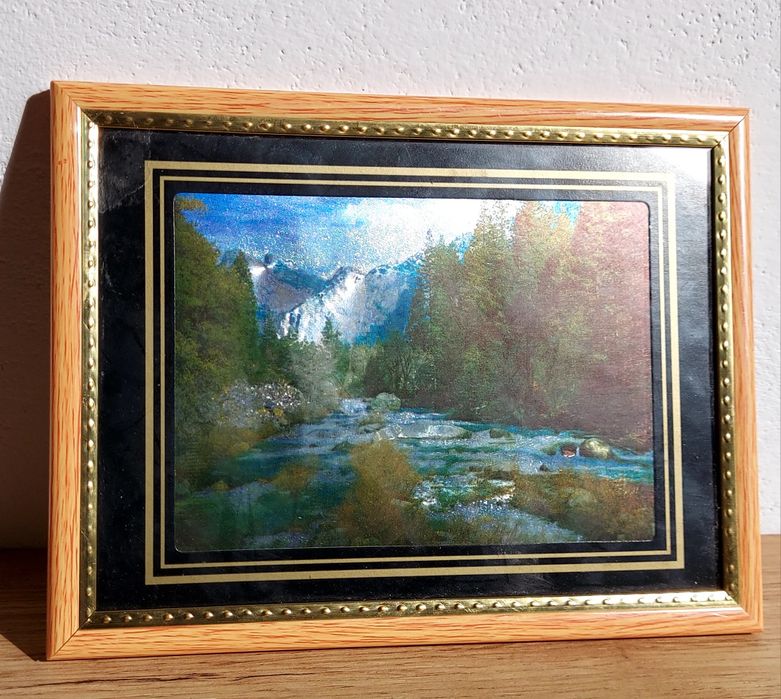 Obrazek  maly z kwiatem i  2 małe  jesienne