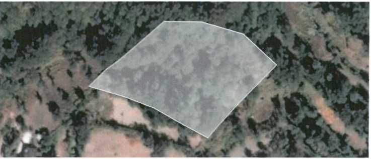 Quinta com Elevado Potencial Agrícola e Turístico