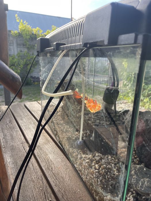 Akwarium dla rybek 60l