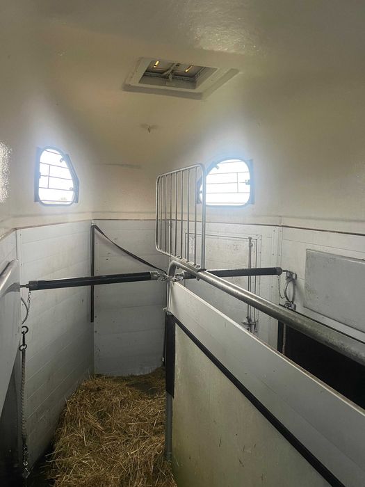 CHEVAL LIBERTE gold pullman v2 2 konna