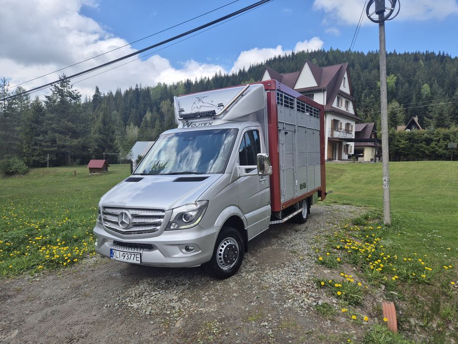 Mercedes Sprinter 519 do przewozu zwierzat
