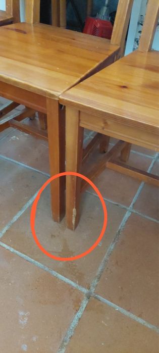 Conjunto de mesa e cadeiras