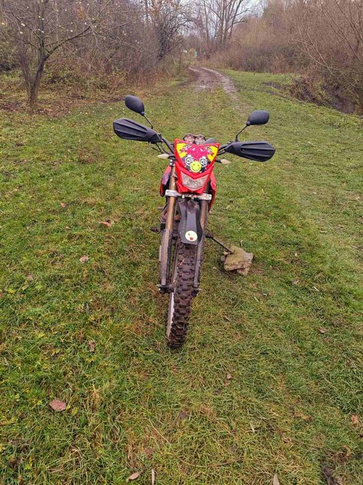 Lifan torero 250