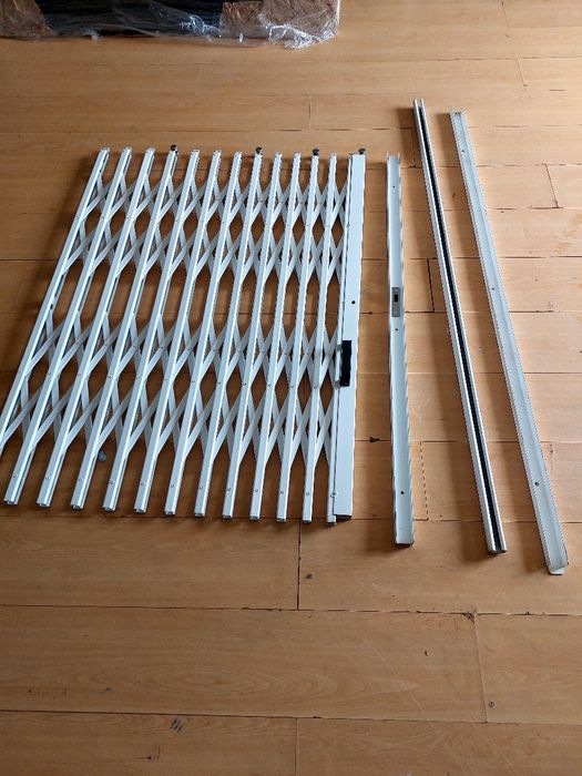 2 Window Lizards. Dimensions: 2.50×1.6064552024614787123