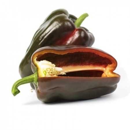 10 Sementes Pimento Sweet Chocolate