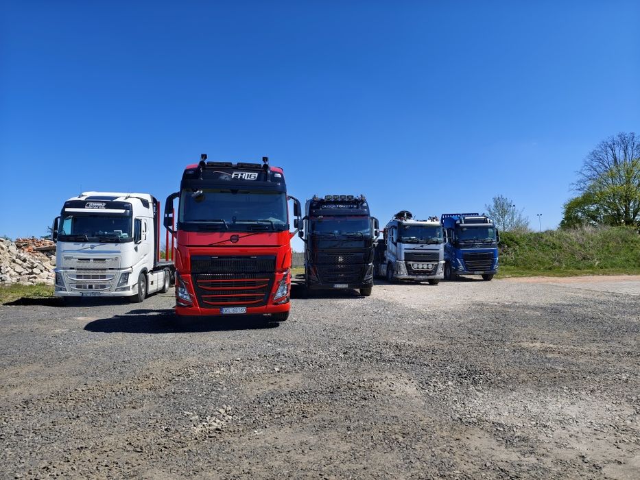 transport drewna hds dłóżyca kłoda Niemcy Czechy