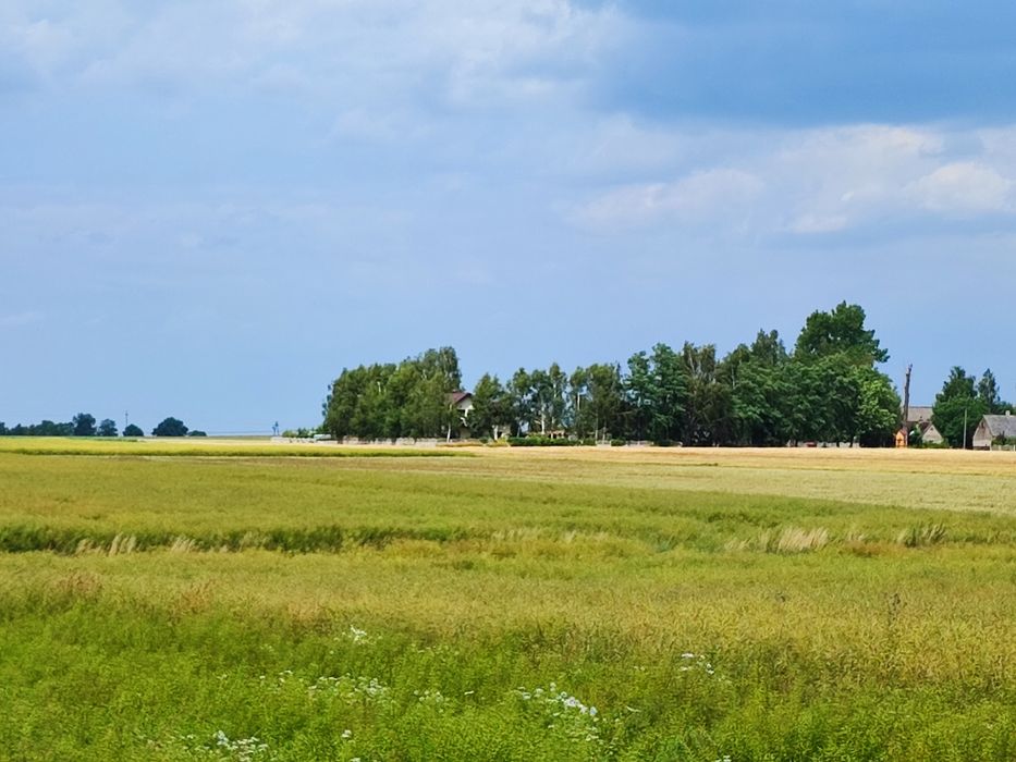 Działki rolne - łąka trwała 1,36ha, Natura 2000
