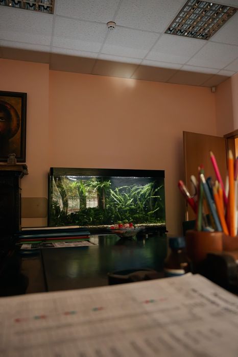 Обслуживание морских и пресных аквариумов,чистка аквариумов