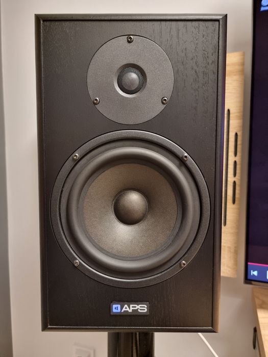 Monitory Studyjne APS Klasik 2020 para