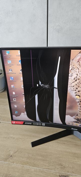 Monitor Iiyama 24 '' cale G2466 HSU. Zbita matryca