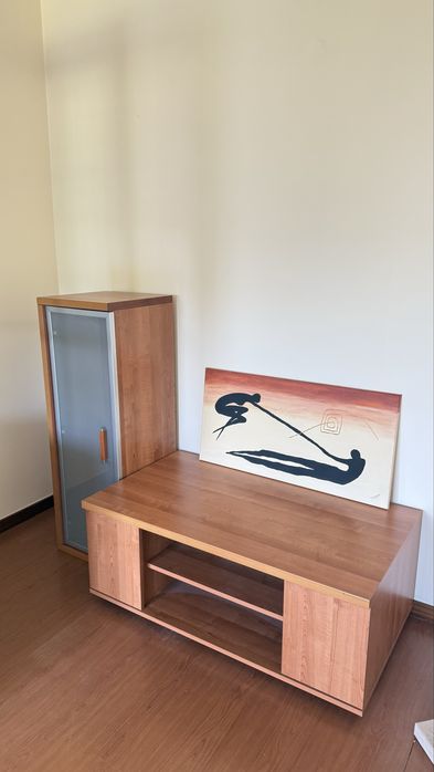 Movel tv e quadro