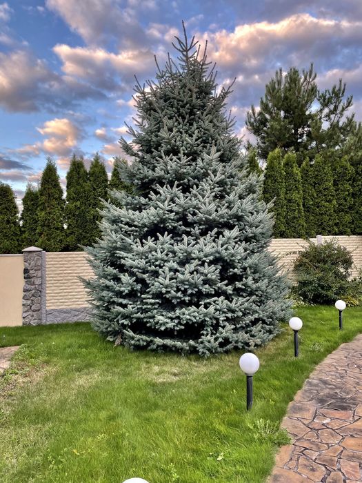 ‼️Продам дом Флоринка‼️Продажа дома Родичи!