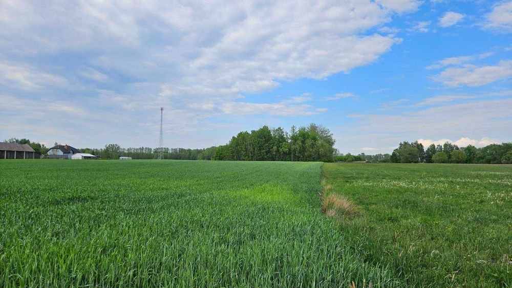 Działka rolna 5,4ha z możliwością zabudowy zagrodowej - Widok 4