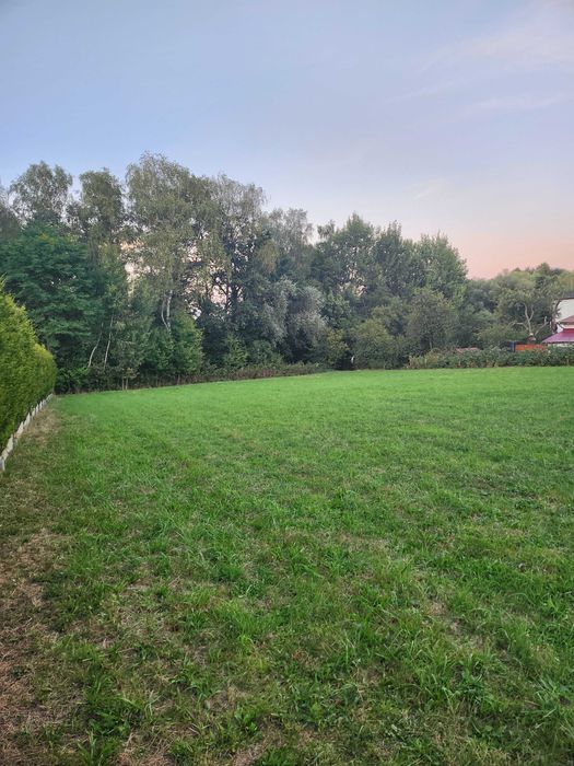 Działka budowlana 1120 m²/Zebrzydowice - Więcej
