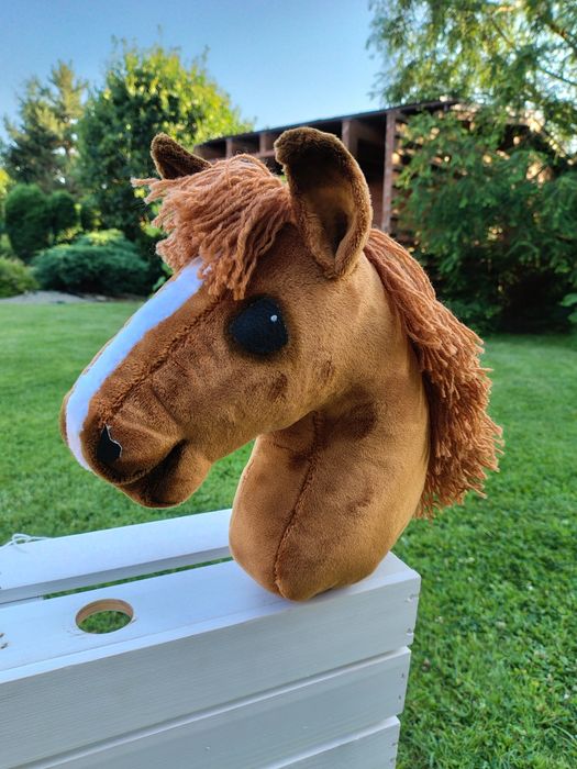 Hobby horse A4 rudy