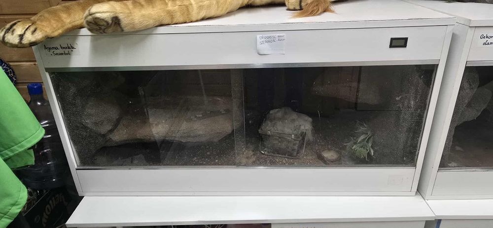 Terarium  dla gadów