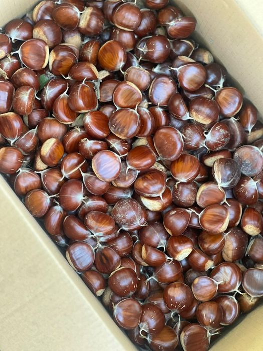 Castanha nacional 4€
