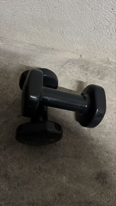 Halteres 5kg revestidos decathlon